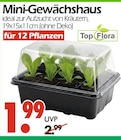 Mini-Gewächshaus Angebote von Top Flora bei Wreesmann Altenburg für 1,99 €