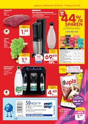 Kaffeepads im Netto Marken-Discount Prospekt in Freiberg Aktueller Netto Marken-Discount Prospekt mit Kaffeepads, "Aktuelle Angebote", Seite 49