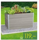 WPC Hochbeete »Petit Mateo« von Kölle im aktuellen Pflanzen Kölle Prospekt für 119,00 €