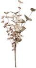 JYSK Kunstblume LAUST H38cm grau im Angebot bei JYSK in Berlin JYSK Kunstblume LAUST H38cm grau Angebote von JYSK bei JYSK Berlin für 3,50 €