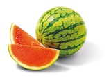 Wassermelone kernarm im Netto mit dem Scottie Prospekt Wassermelone kernarm im aktuellen Netto mit dem Scottie Prospekt für 2,99 €