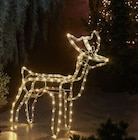 Promo Décoration de Noël 3D lumineuse à 16,99 € dans le catalogue Lidl à Rongères