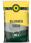 Blumenerde bei Wreesmann im Cottbus Prospekt für 1,99 €