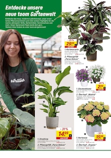 Pflanzen im toom Baumarkt Prospekt "Respekt, wer's selber macht." mit 20 Seiten (Stuttgart)