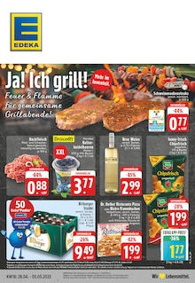 EDEKA Prospekt Aktuelle Angebote mit  Seiten in Willich und Umgebung