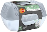 Absorbeur d'humidité avec recharges en promo chez Weldom Absorbeur d'humidité avec recharges dans le catalogue Weldom