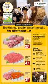 Ähnliche Kalbsbrust Angebote im Prospekt "Dein Markt" von REWE in Freiburg Ähnliche Angebote wie Kalbsbrust im Prospekt "Dein Markt" auf Seite 13 von REWE in Freiburg
