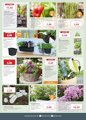 Aktueller BBM Baumarkt Prospekt mit Pflanzen, "So schön kann Baumarkt sein", Seite 2