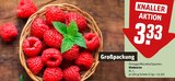 Himbeeren Angebote bei REWE Bad Salzuflen für 3,33 €