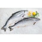 Saumon entier ASC FILIÈRE QUALITÉ CARREFOUR - Carrefour à Créteil Saumon entier ASC FILIÈRE QUALITÉ CARREFOUR en promo chez Carrefour Créteil à 9,99 €