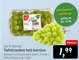 Aktuelle Weintrauben Angebote bei Konsum in Dresden Aktuelles Tafeltrauben hell kernlos Angebot bei Konsum in Dresden ab 1,99 €