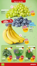 Bananen im Penny Prospekt in Oldenburg Aktueller Penny Prospekt mit Bananen, "Wer günstig will, muss Penny.", Seite 3