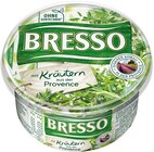 Feine Kräuter oder Kräuter der Provence von Bresso für 1,29 € bei REWE im Angebot Feine Kräuter oder Kräuter der Provence von Bresso im aktuellen REWE Prospekt