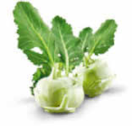 Kohlrabi im Angebot bei Netto Marken-Discount in Gelsenkirchen Kohlrabi Angebote von Heimat bei Netto Marken-Discount Gelsenkirchen für 0,55 €