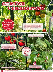 Paprikapflanze im Garten-Center Nordharz GmbH & Co. KG Prospekt "Der Sommer kann kommen…" mit 12 Seiten (Hannover)