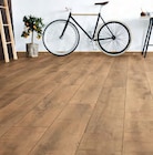 Comfort Laminat Gold Volcano Oak Angebote von Kaindl bei OBI Laatzen für 24,46 €