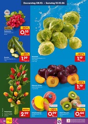 Mango im Netto Marken-Discount Prospekt in Völklingen Aktueller Netto Marken-Discount Prospekt mit Mango, "Aktuelle Angebote", Seite 48