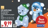 LED-ACRYLFIGUR Polarbär im Angebot bei Marktkauf in Gelsenkirchen LED-ACRYLFIGUR Polarbär Angebote bei Marktkauf Gelsenkirchen für 9,99 €