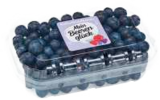 E aktiv markt - Kulturheidelbeeren Angebot im Prospekt Kulturheidelbeeren bei E aktiv markt im Prospekt "" für 2,99 €