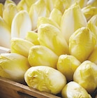 Endive dans le catalogue Netto