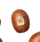 Kiwi, Sungold Angebote von Zespri bei ALDI SÜD Augsburg