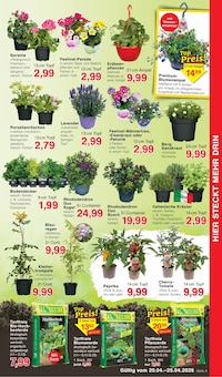 Gartenerde im Jawoll Prospekt "Sonderposten-Märkte" mit 16 Seiten (Mannheim)