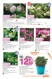 Offre Rhododendron dans le catalogue Jardiland du moment à la page 9