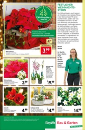 BayWa Bau- und GartenmÀrkte Pflanzschale im Prospekt BayWa Bau- und GartenmÀrkte Pflanzschale im Prospekt