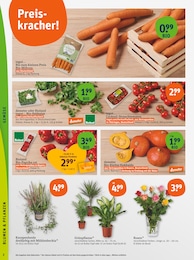 tegut Paprika im Prospekt tegut Paprika im Prospekt