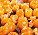 Clémentines à Lidl dans Marquette-lez-Lille Clémentines à Lidl dans Marquette-lez-Lille