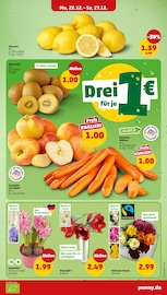 Aktueller Penny Prospekt mit Garten, "Wer günstig will, muss Penny.", Seite 7