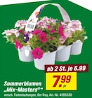Sommerblumen im toom Baumarkt Prospekt Sommerblumen von Mix-Masters im aktuellen toom Baumarkt Prospekt für 6,99 €