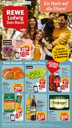 Aktueller REWE Supermärkte Prospekt für Rieder: Dein Markt mit 26} Seiten, 06.05.2024 - 11.05.2024