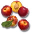 Kaufland - Nektarinen Angebot im Prospekt Nektarinen bei Kaufland im Prospekt "" für 1,49 €