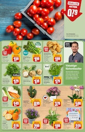 Ähnliche Tomatenpflanze Angebote im Prospekt "Dein Markt" von REWE in Hildesheim Ähnliche Angebote wie Tomatenpflanze im Prospekt "Dein Markt" auf Seite 5 von REWE in Hildesheim