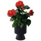 Cache-pot "Zia" ECLOZ - ECLOZ à 6,99 € dans le catalogue Jardiland