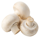 WEISSE CHAMPIGNONS im Angebot bei REWE in Hürth WEISSE CHAMPIGNONS Angebote bei REWE Hürth für 1,59 €