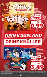 Aktueller Kaufland Prospekt mit Auto, "Hier bin ich richtig", Seite 8
