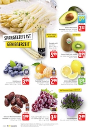 Stauden im E center Prospekt in Neustadt Aktueller E center Prospekt mit Stauden, "Aktuelle Angebote", Seite 2