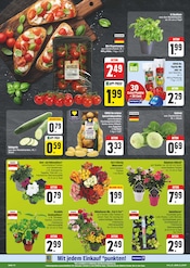 Mixer im EDEKA Prospekt in Zwickau Aktueller EDEKA Prospekt mit Mixer, "Wir lieben Lebensmittel!", Seite 10