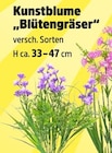 Kunstblume "Blütengräser" Angebote bei Thomas Philipps Rostock für 1,00 €