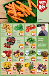 REWE Blumen im Prospekt 