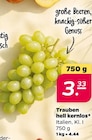 Aktuelles Trauben hell kernlos Angebot bei Netto mit dem Scottie in Dresden ab 3,33 €