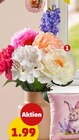 Dekorative Schnittblume von  im aktuellen Penny Prospekt für 1,99 €