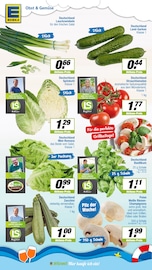 Pflanzen im EDEKA Prospekt in Bergkamen Aktueller EDEKA Prospekt mit Pflanzen, "Aktuelle Angebote", Seite 3