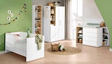 Schlafzimmerschrank im Segmüller Prospekt Babyzimmer „Lieven“ von paidi im aktuellen Segmüller Prospekt