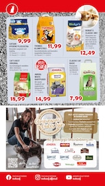 Aktueller Zookauf Prospekt mit Katzenstreu, "Alles für tierische Verwöhn-Momente", Seite 12