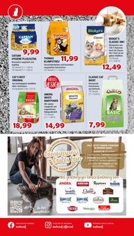 Katzenstreu im Zookauf Prospekt "Alles für tierische Verwöhn-Momente" mit 16 Seiten (Hannover)