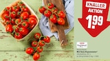 Aktuelle Tomaten Angebote bei REWE in Münster Aktuelles Mini Roma Rispentomaten Angebot bei REWE in Münster ab 1,99 €
