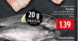 Forelle im Angebot bei EDEKA in Soest Forelle Angebote bei EDEKA Soest für 1,39 €
